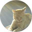 Gloria Landi profile picture